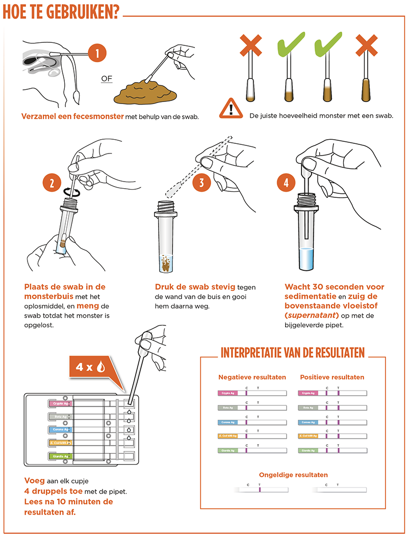 Witness Bovid-5 | Zoetis